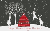 Funny Rabbit, Christmas, New Year 1920x1200