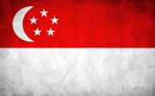 Singapore Grunge Flag