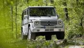 Mercedes-Benz G 500 in the Forest