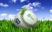 Baseball: Play Green