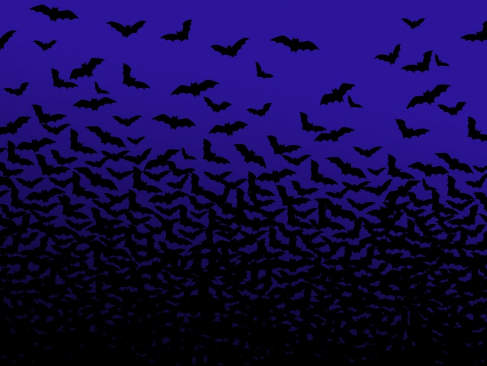Halloween - Bats Are Good