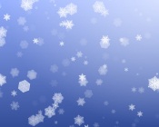 White Snowflakes