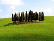 Scenic Siena Province, Tuscany, Italy