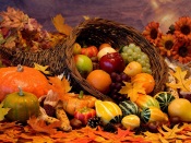 Autumn Harvest - Still Life