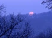 Pink Moon in the Purple Sky