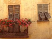 Golden Afternoon, Provence, France