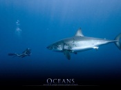 Oceans Movie - Dancing with Sharks