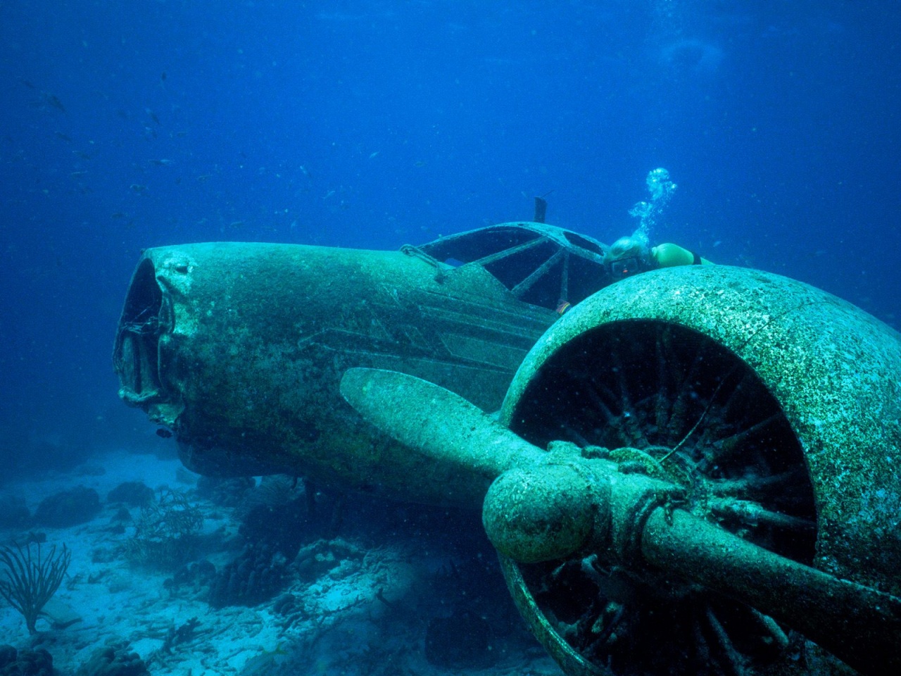 Old air plane crashed underwater