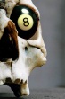 8 Ball Skull