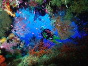 Underwater: Blond Scuba Diver