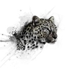 Snow Leopard - Art