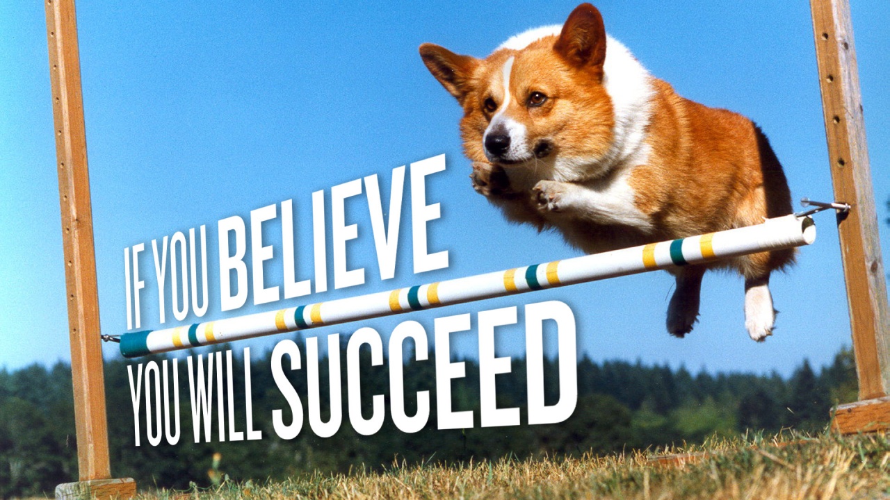 Corgie - If you believe You will succeed