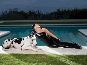 Lady Gaga and Dalmatian Dog