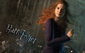 Harry Potter and the Deathly Hallows p.2 - Ginny