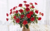 Bouquet Of Red Roses At The Window