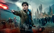 Fight - Harry Potter and The Deathly Hallows part 2