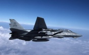 F-14 in Flight