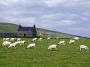 Grampian Farm, Near Rhynie, Scotland scotland