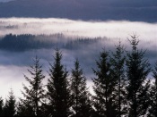 Misty Glen Garry, Skye and Lochalsh, The Highlands, Scotland