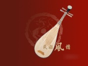 Chinese Musical Instrument