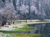 Winter Scenery In China