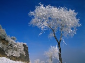 Frosty Morning In China
