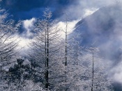 Winter Scenery In China