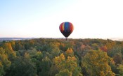 Air Balloon over The Forest, MiddleTown, NY, USA