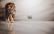 Apple Logo With A Tiger