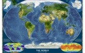 The World Satellite Map