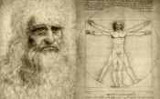 Leonardo Da Vinci Vitruvian Man