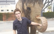 Robert Pattinson and Elephant