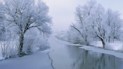 Winter White Wonderland