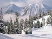 Winter Wonderland, Canada