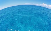 Surface of the Sea . Hawaii