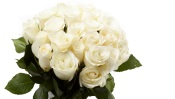 Nice Bouquet of White Roses