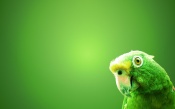 Disheveled Parrot, Green Background