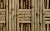 Building With Bamboo
