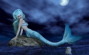 The Mermaid in the Light of The Moon