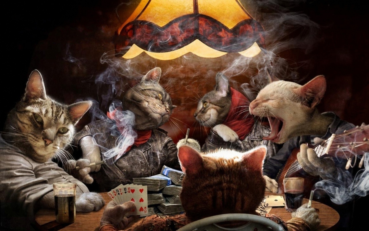 Cats Party
