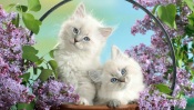 Two Funny Kitty in the Flowers of the Lilac