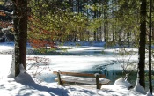 Bench near the Lake at Winter