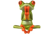 Frog with Orange Legs