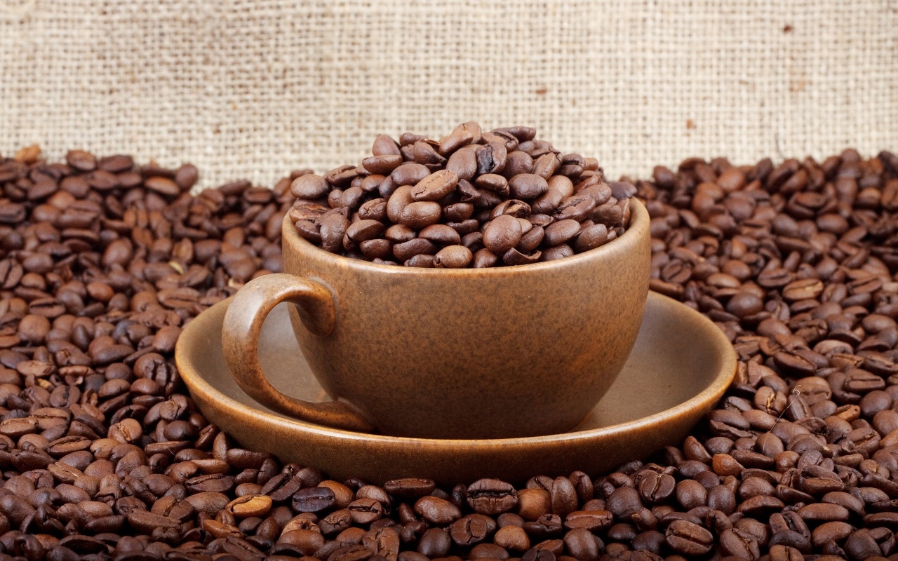 Coffee Beans in Brown Cup