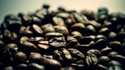 Coffee Beans Macro