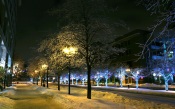City Winter