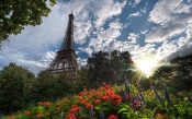 Eiffel Tower Surrounded by Flowers