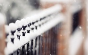 Fence, Winter, Snow