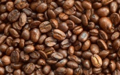 Large Coffee Beans