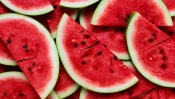 Ripe Watermelons